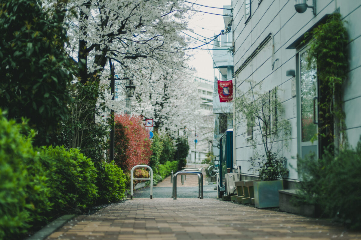 イヨシコーラ総本店下落合の特別営業日のお知らせ（3.28-3.29） | 伊良コーラ IYOSHI COLA｜クラフトコーラ専門メーカー